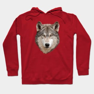 Wolf Hoodie